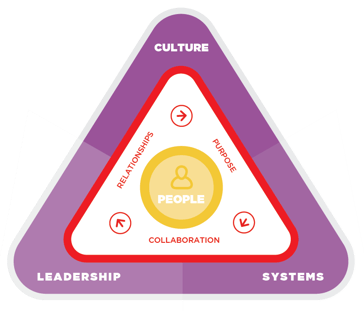 Organisational Agility Triangle