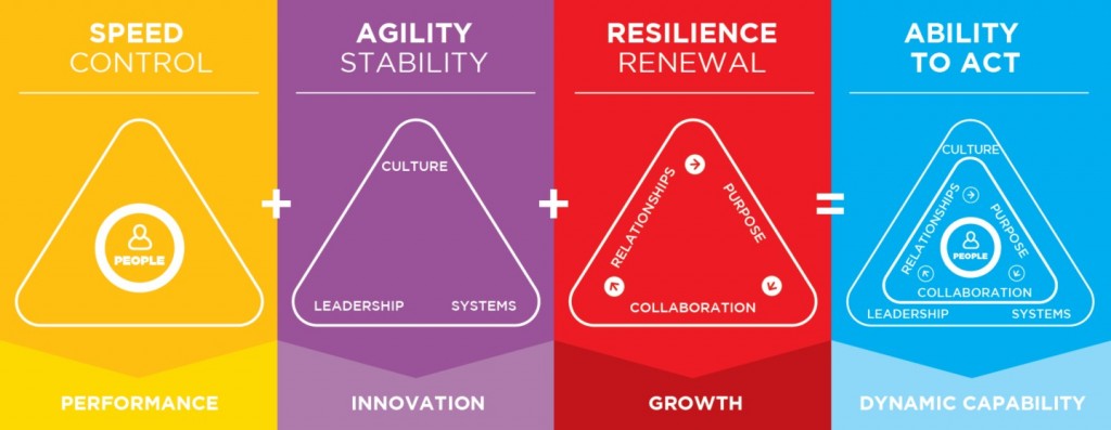 Orgnaisational Agility Performance Triangle Capabilities